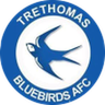 Trethomas Bluebirds