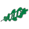 EIF