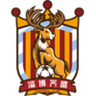 Zibo Qisheng