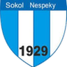Sokol Nespeky