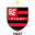 Flamengo PI