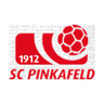 Pinkafeld