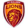 Bulleen Lions