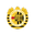 Xewkija Tigers