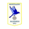 Abertillery Bluebirds