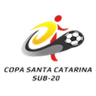 Copa Santa Catarina