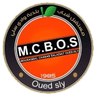Oued Sly