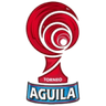Primera B