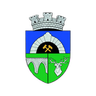 Anenii Noi