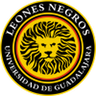 Leones Negros