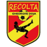 Recolta Gheorghe Doja