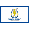 Brasileiro de Aspirantes