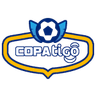 Copa de la División Profesional