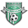 Dukagjini