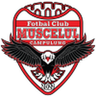 Muscelul Câmpulung Elite