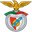 Arronches e Benfica