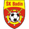 Badín