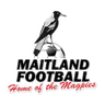 Maitland