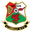 llanelli AFC