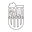 Galo Maringá U20