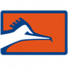 Correcaminos UAT II