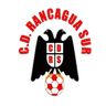Rancagua Sur