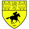 Newmarket Town