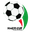 Hazfi Cup