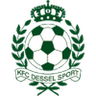 Dessel Sport