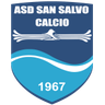 Salvo
