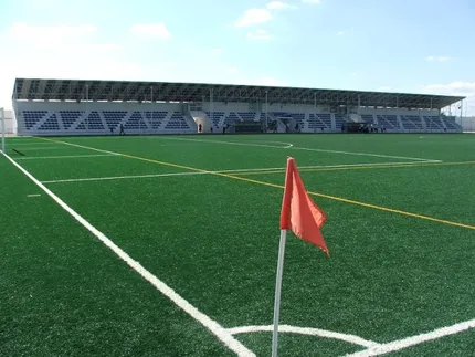 Estadio José Camacho, home of Manzanares CF