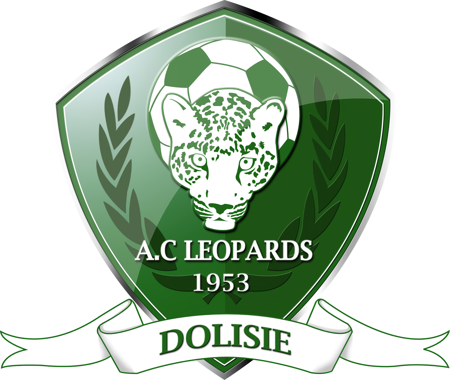 Léopards de Dolisié