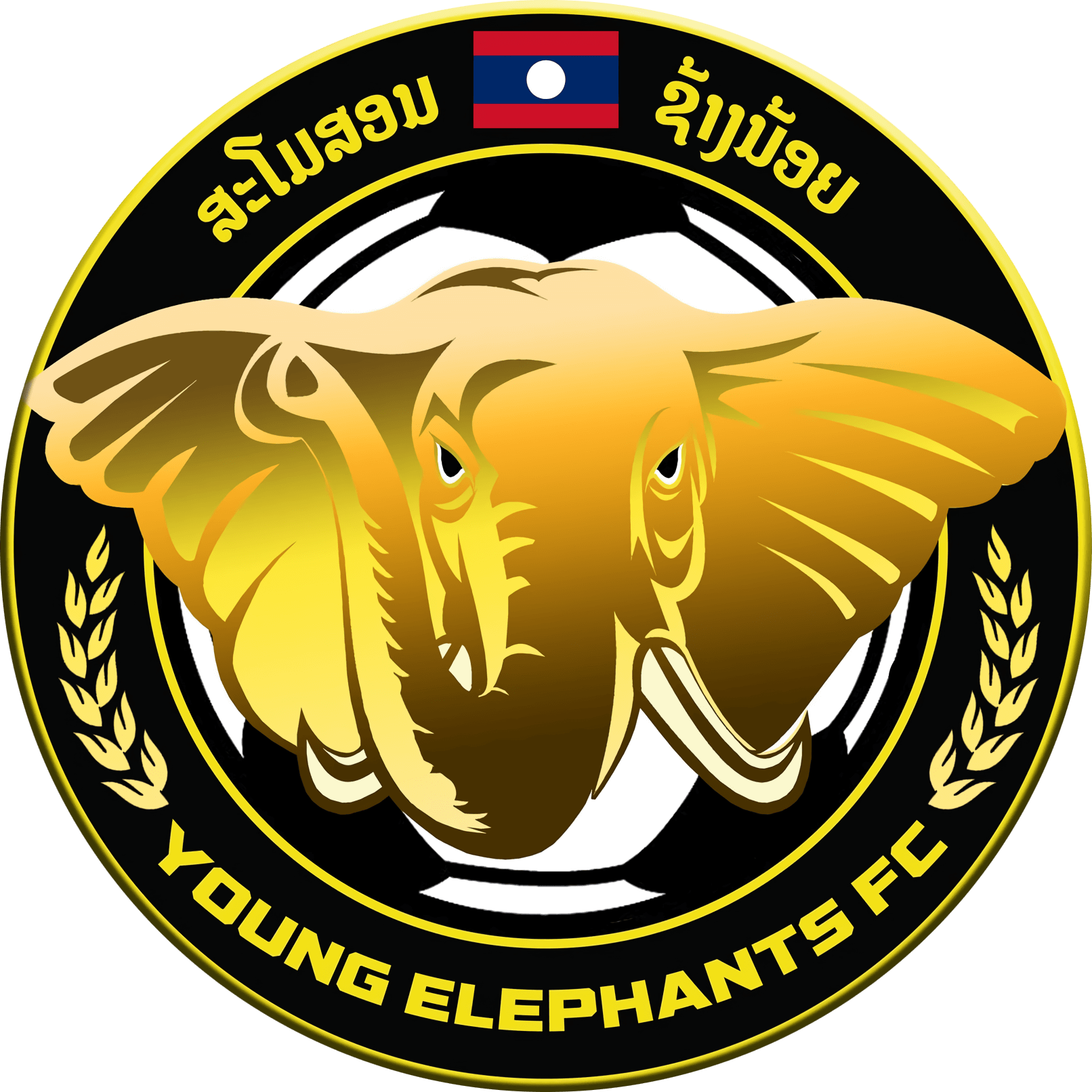 Young Elephants
