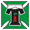 Deportes Temuco