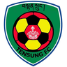 Tensung logo