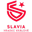 Slavia Hradec Králové