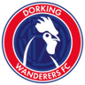Dorking Wanderers W