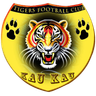 Mighty Tigers