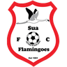 Sua Flamingoes