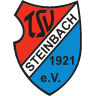 TSV Steinbach II