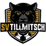 Tillmitsch