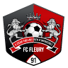 FC Fleury 91 W