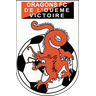 Dragons