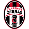 Clarence Zebras II