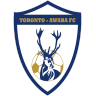 Toronto Awaba Stags