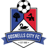 Gosnells City