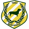 Samambaia U20