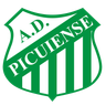 Picuiense