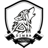 Dimba Patriots
