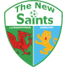 The New Saints U19